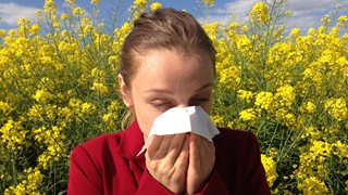 Полезни съвети в сезона на алергиите