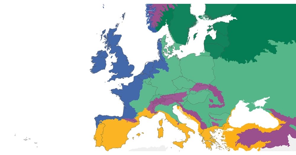 Зеленая карта в евросоюз