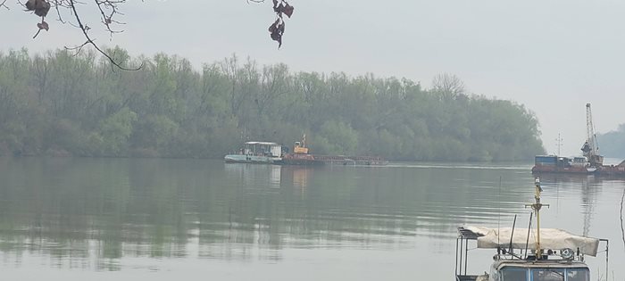 Районът на Остров Вардим, където се извършва изгребването на инертни материали

СНимка: РИОСВ - Велико Търново