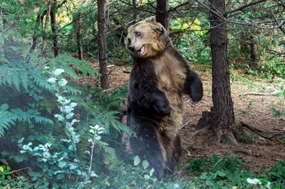 Калих духа си, ще развивам кунгфу в България

"Шаолин ме преобрази! За 6 месеца обучение калих духа. Видях желязна дисциплина и уважение към големите и малките майстори в бойните спортове".