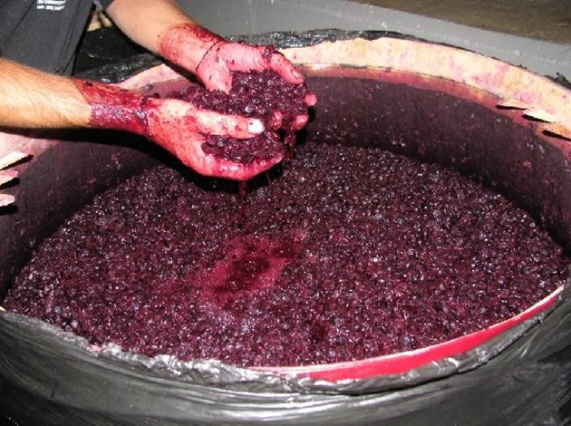Използването на серен двуокис осигурява получаване на вина с по-висок алкохолен градус, по-интензивен и стабилен цвят, повече екстракт и по-хармоничен вкус. С помощта му алкохолната ферментация протича нормално и вината стават по-устойчиви на болести.