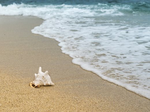 Министерство на туризма обяви 10 процедури за отдаване под наем на морски плажове