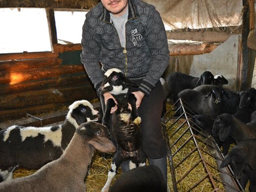 На 25 години, Ерик отказва живота на журналист в София, за да спаси фермата на дядо си - вече отглежда 90 овце