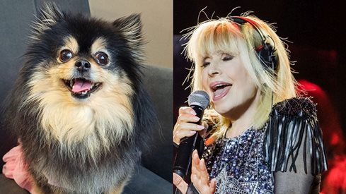 Убиха кучето, което пее Лили Иванова
