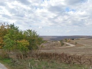 Следово куче и ловна дружинка намериха З деца, изгубили се в гората край село Безмер