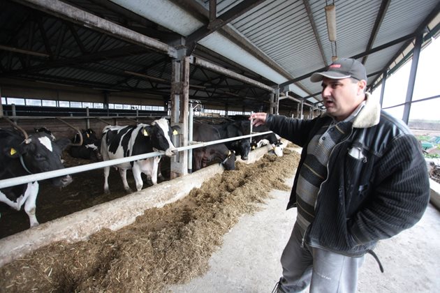 Динко Господинов е извървял дълъг и труден път в млекопроизводството. И е успял.
