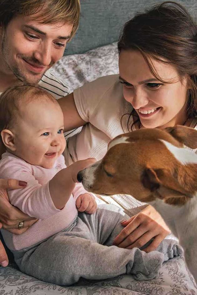 Създавайте у кучето положителни асоциации с бебето