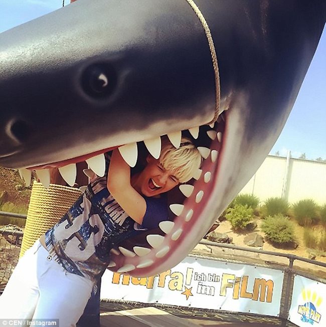 Тигровите акули са често срещано явление във водите в Кейп Канаверал. Снимка: Instagram