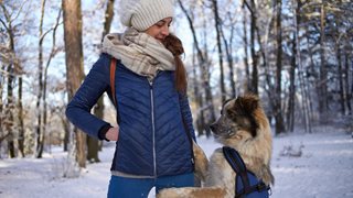 Треньорът на кучета Деси Желева: Можем да започнем работа с животното на всяка възраст
