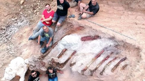 Разкопават двор в Португалия за огромен динозавър
