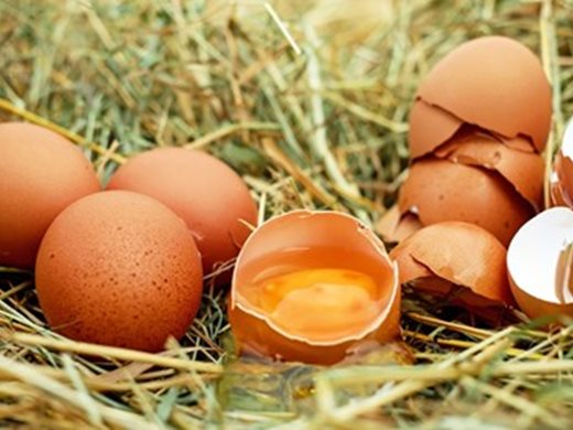 НАП спря продажбата на 21 тона яйчен жълтък без сертификат