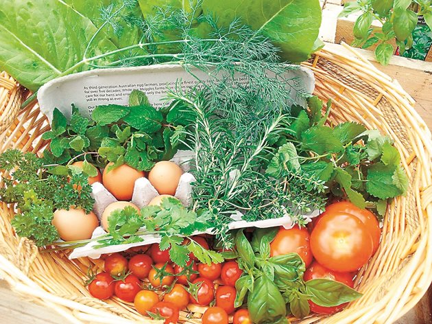 Храненето на растителна основа се превърна в основен фокус, тъй като потребителите търсят достъпно и функционално, за да поддържат здравословен и устойчив начин на живот