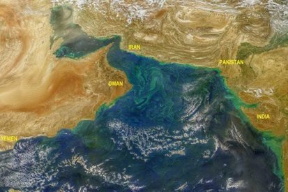 Затоплянето стимулира цъфтежа на водорасло и разстройва живота в Арабско море