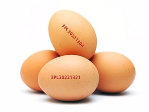 Агенцията по храните: Засега няма заразен българин със салмонела от полските яйца