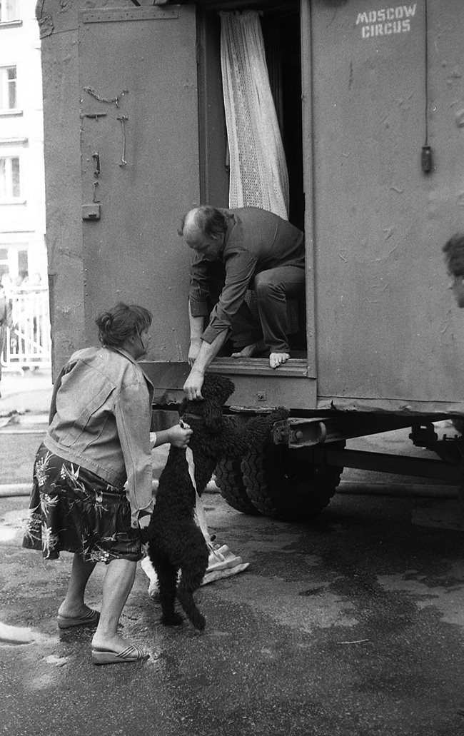 Дресьори прибират кучето си във фургона, в който живеят.