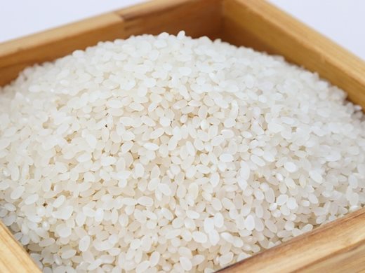 Италия намаля производството на ориз