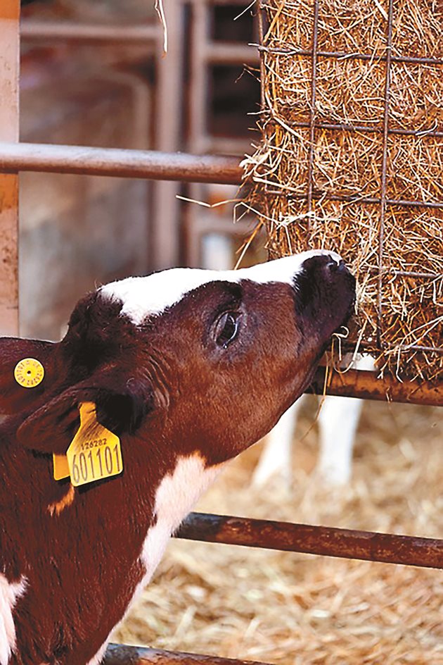 Приятният аромат на хляба показва, че продуктът е готов за консумация.