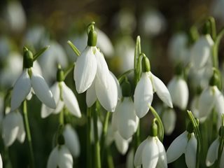 Слънчево и топло, но с ветрец ще е на 9 март