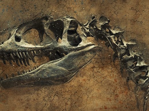 Учени кръстиха отпечатък от динозавър на момиченцето, което го откри