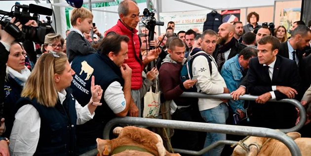 Кристел Пруст, която отглежда елитни животни порода Лимузин, е изненадана да види президента Макрон сред кравите си
Снимка: paris-normandie