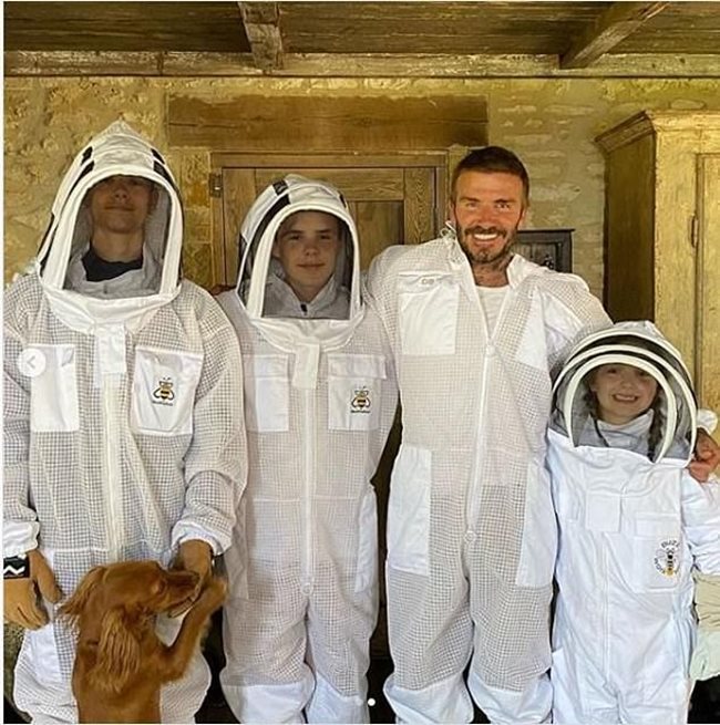 Дейвид Бекъм споделя първите си стъпки в пчеларството заедно със своите деца.