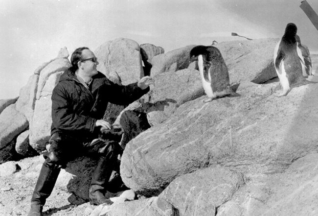 Цончо Чапанов с любимите си пингвини