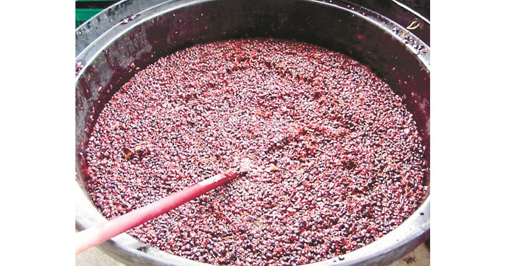 ферментация на вино