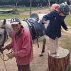 Робърт от Оксфорд гледа коне в полите на Рила