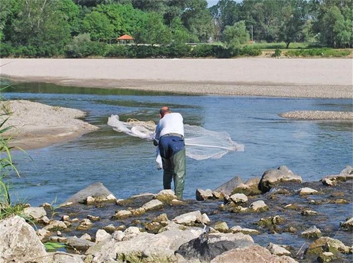 Българин спокойно замята мрежа във водите на р. Арда на гръцка територия. 
СНИМКА: НИКОЛАЙ ГРУДЕВ