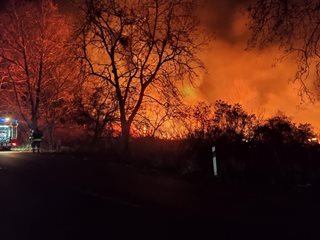 Голям пожар гори край Пловдив. Огнеборци: Няма загасяне (Снимки, видео)