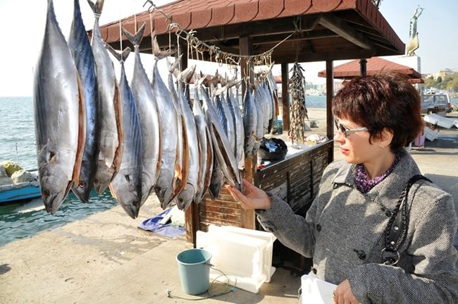 Веяният паламуд е деликатес