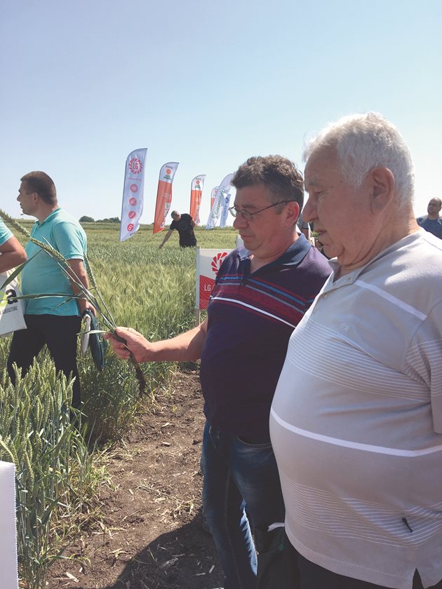 Мнозина стопани се допитваха до агроном Игнат Георгиев (вдясно), за да черпят знания от най-добрия в областта