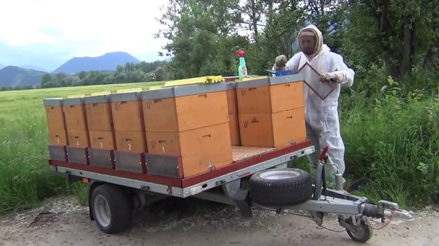 Но подготовката на пчелните семейства за транспортиране е задължителна дейност, която се извършва два-три дни преди транспортирането. Снимка You Tube
