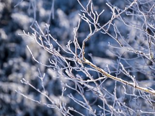 Слънчево, но мразовито остава времето на 21 февруари