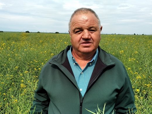 Зърнопроизводители от Пловдивско: Цената на житото скочи с 50% и ще расте още