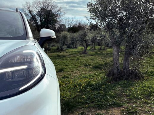 Ford ще облицова колите с маслинови дървета