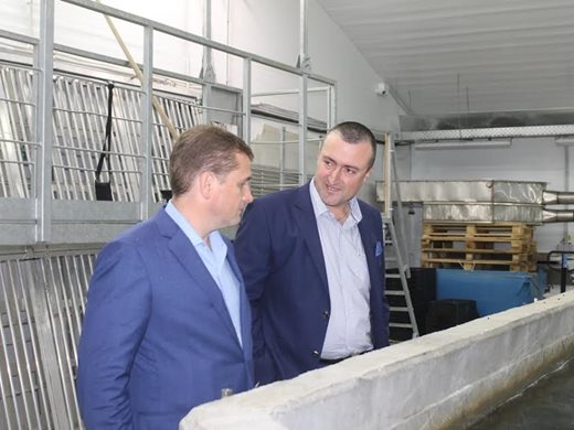 Зам.-министър Добрев: Очакваме по-добър контрол от страните на Черно море за нелегалния улов

