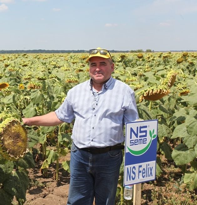Петър Христов коментира, че в района на Ямболско, слънчогледовите посеви засега предвещават високи добиви