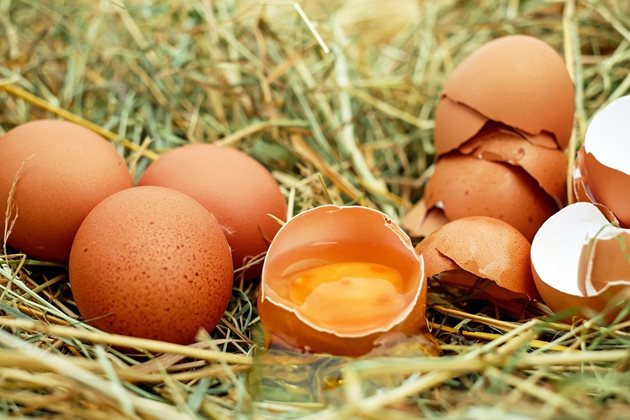 Изследване: Яйцата са безопасни за сърцето СНИМКА: Pixabay