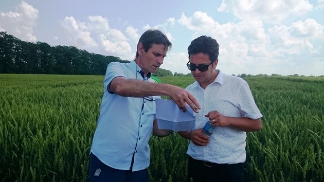 Проф. Иван Киряков (вляво) и представител на турска фурма са в полетата с пшеница на ДЗИ