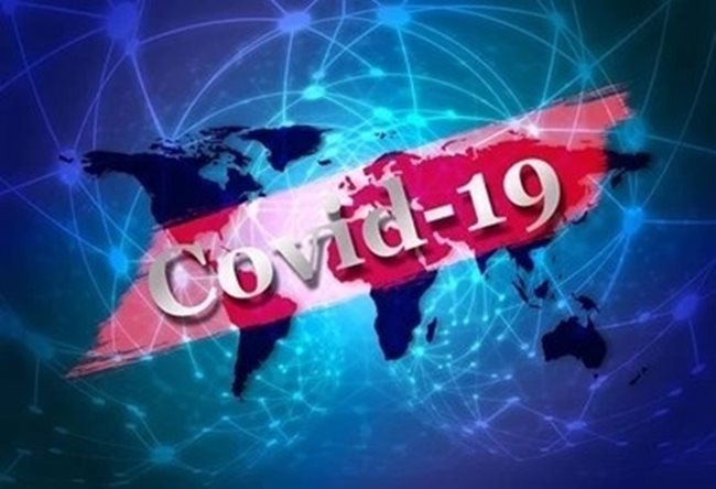 Ежедневното публикуване на данни за броя на заразените и починалите от коронавирус по света е грешно СНИМКА: Pixabay
