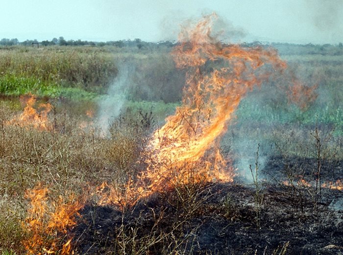 Всяка година запалените стърнища са обичайна гледка.