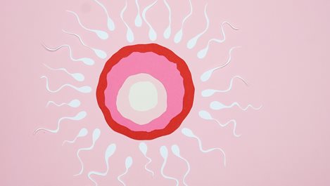 Какво казва науката за ползите от поглъщането на сперма