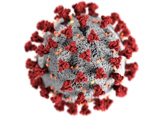 Характеристики на човешкия папиломен вирус