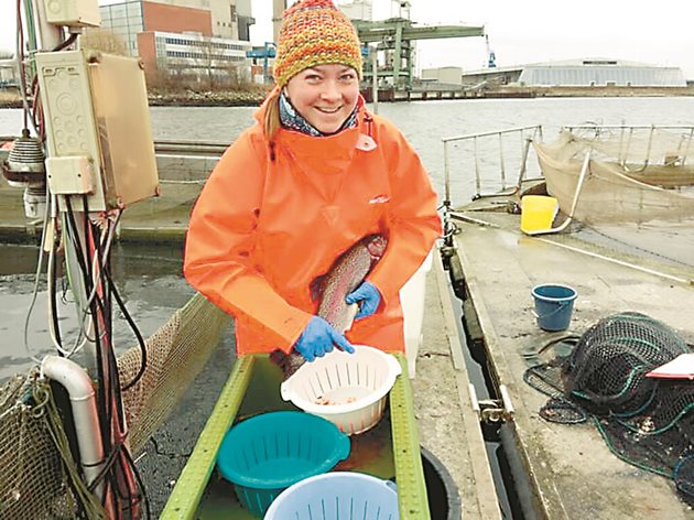 Едва 1,4% са заетите жени в сектор Рибарство у нас, предимно са в преработката