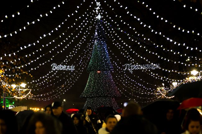 Eлхата  грейна на Никулден и всяка вечер до края на декември е център на уникално светлинно шоу. 9000 лампички светят в различни цветове.
 СНИМКА: ТОНИ ЩИЛИЯНОВА