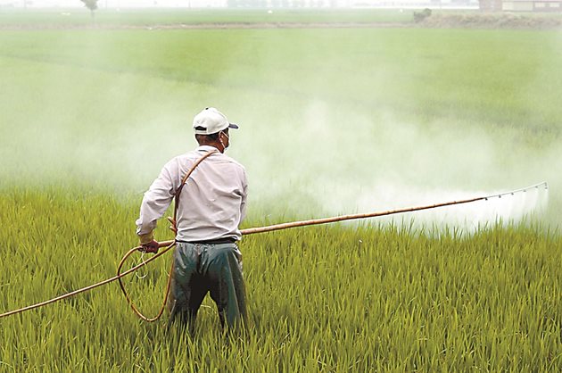 Третиране на оризово поле с пестициди