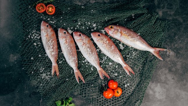 Kонсумирането на риба през бременността намалява с 43% опасността от екземи и дерматит