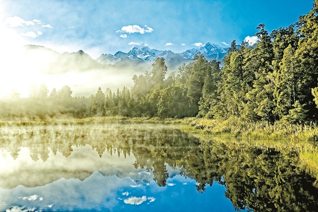Нова Зеландия вече предприема „нежен“ подход към своите гори. Там в момента над 70% от горите са защитени, а дървесината се добива интензивно от специални борови насаждения.