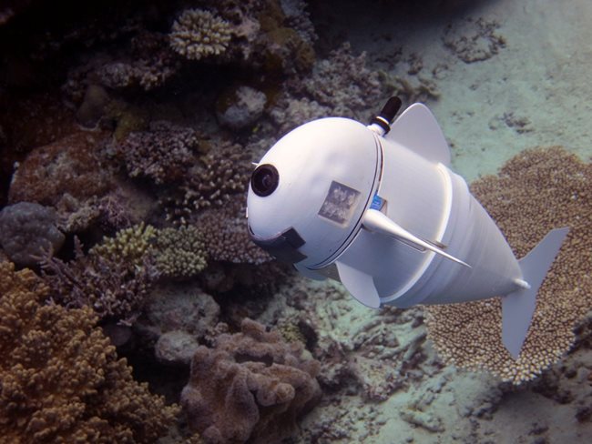 Американски специалисти са разработили гъвкавата Софи - роботизирана риба за деликатни подводни изследвания СНИМКИ: Ройтерс